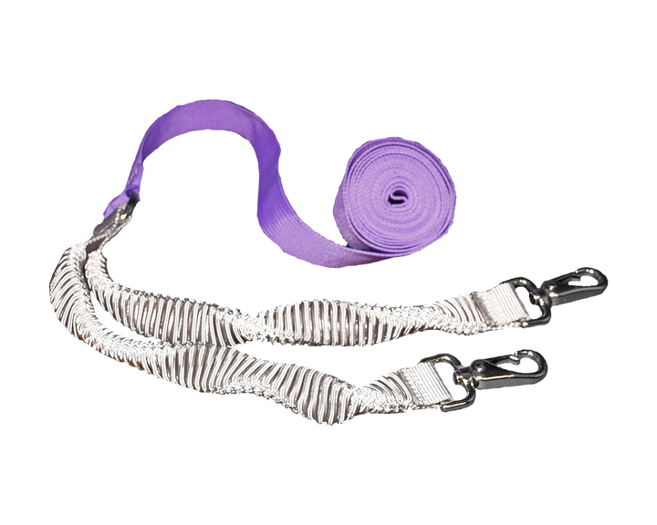 MDXONE Static Ski Harness - Kids' Lavender