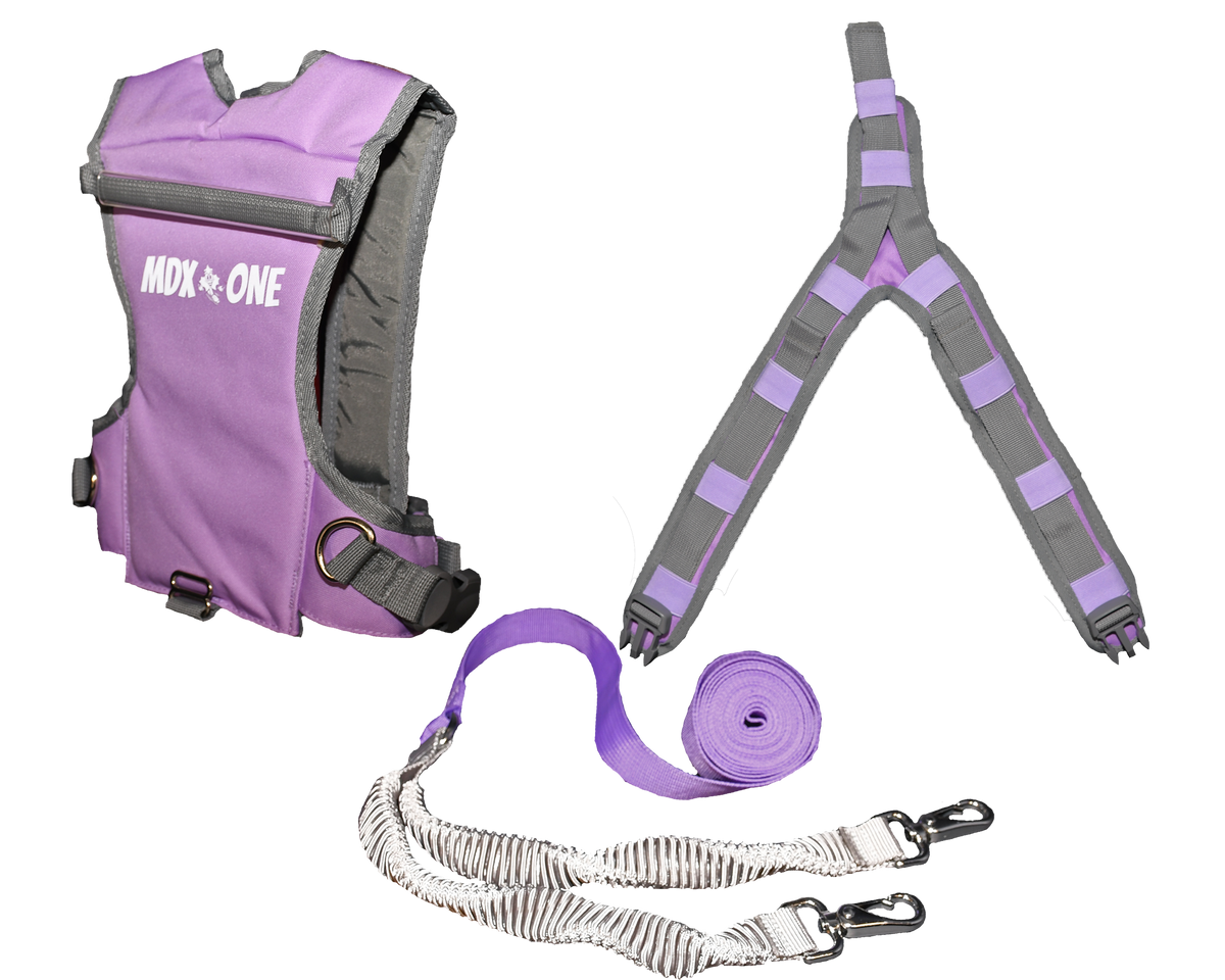 MDXONE Static Ski Harness - Kids' Lavender