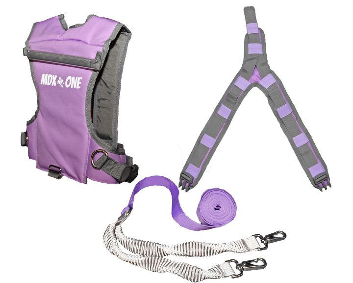 MDXONE Static Ski Harness - Kids' Lavender