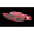 Hyperlite Accelerator Wakesurf Board 2026