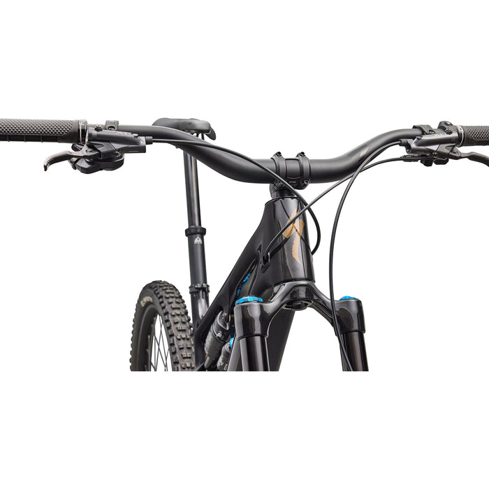Specialized Turbo Levo SL 2 Expert Di2 E-Mountain Bike 2026 Carbon / Burnt Gold