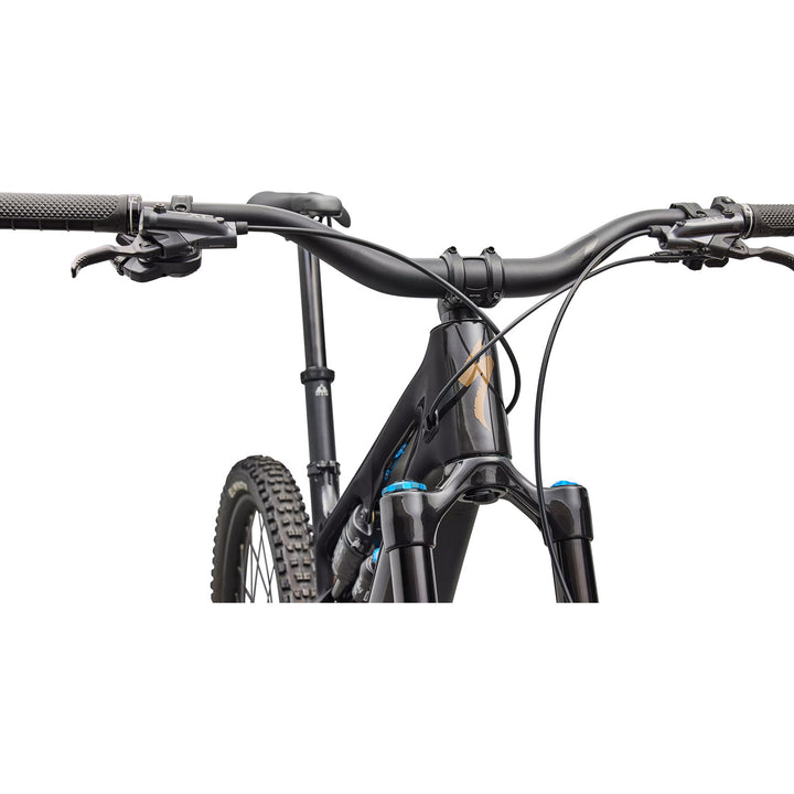 Specialized Turbo Levo SL 2 Expert Di2 E-Mountain Bike 2026 Carbon / Burnt Gold