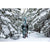 Armada x Oyuki ARV 116 JJ UL Skis 2026