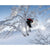 Cardiff Powgoda Enduro Snowboard 2026
