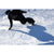 Cardiff Lynx Boundary Snowboard 2026