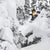 Weston Hatchet Snowboard 2026