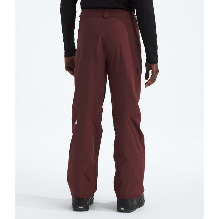 The North Face Freedom Tall Pants - Men's Sumac