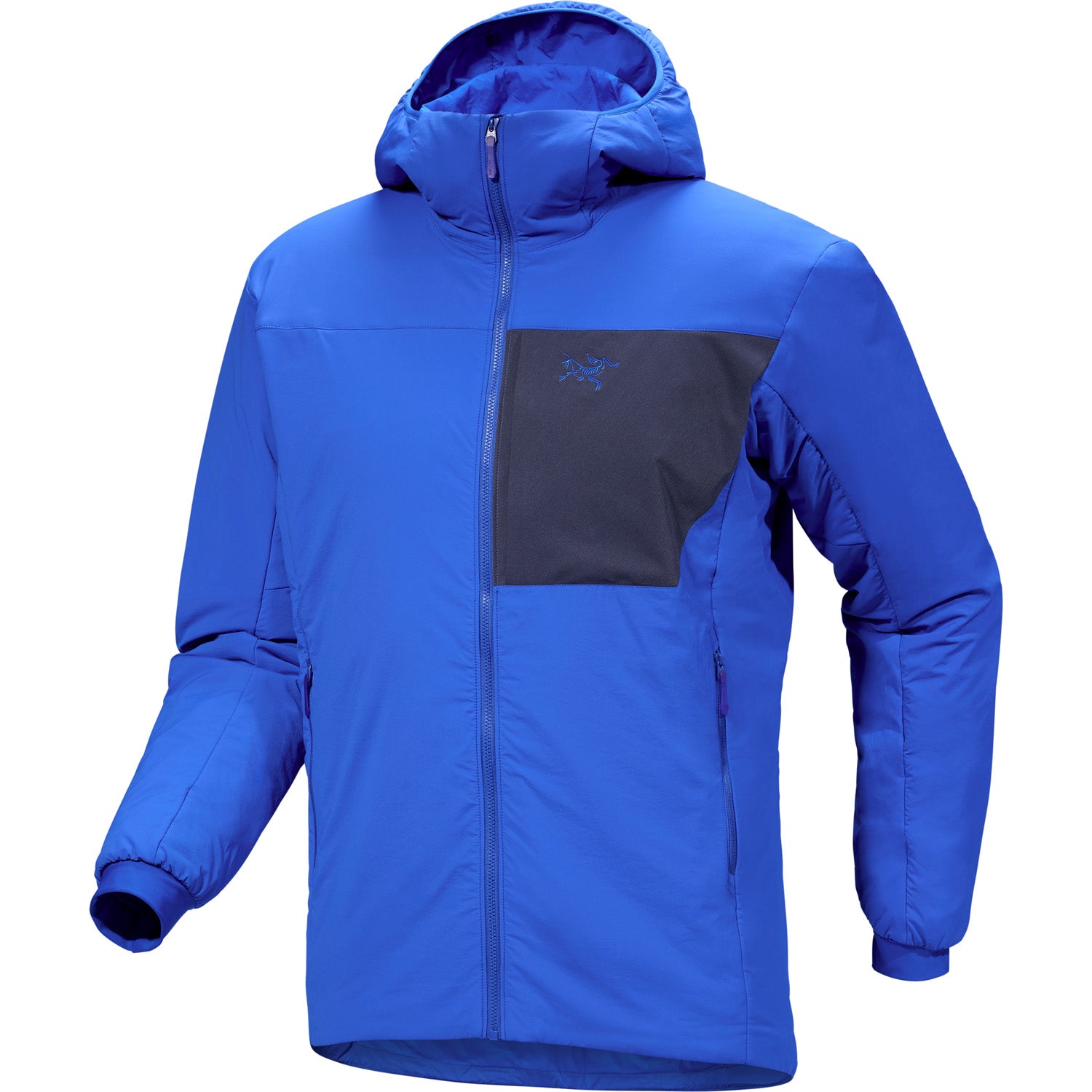 Arc'teryx Proton Hoodie - Men's – evo