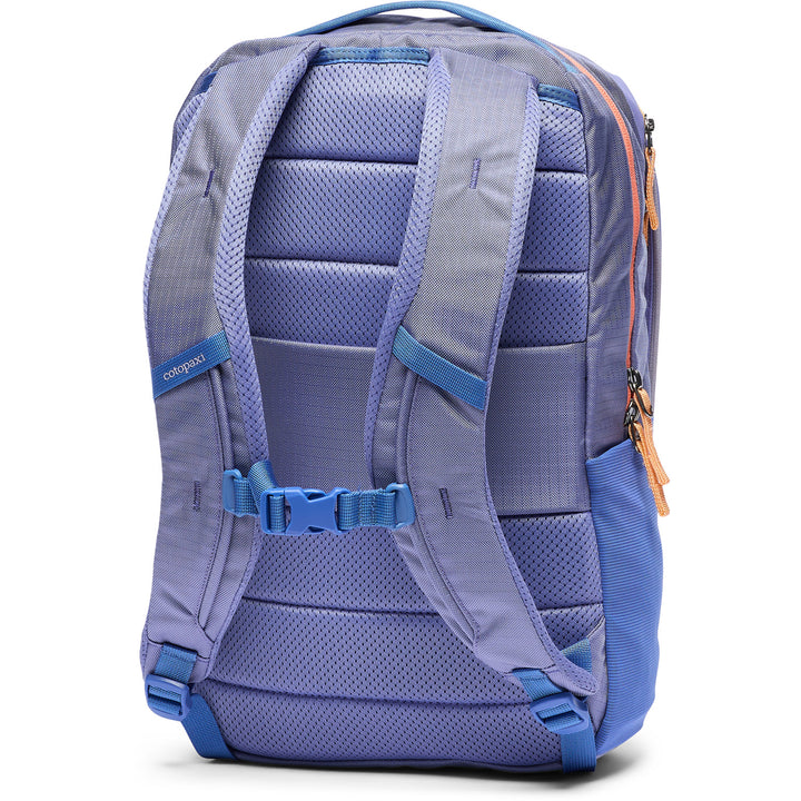 Cotopaxi Allpa 18L Daypack Aster