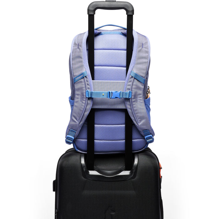 Cotopaxi Allpa 18L Daypack Aster