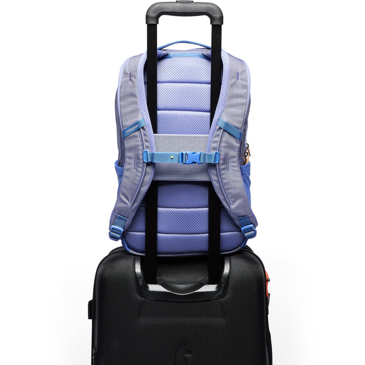 Cotopaxi Allpa 18L Daypack Aster