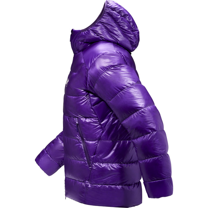 Arc'teryx Cerium SV Hoodie - Men's Azalea