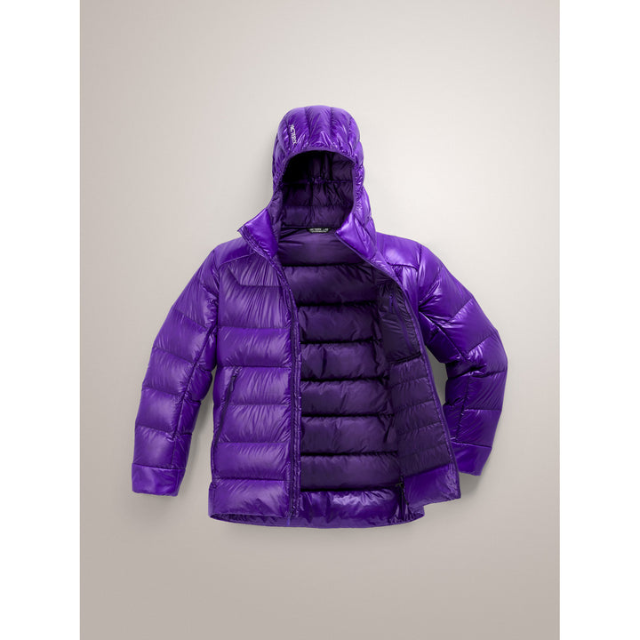Arc'teryx Cerium SV Hoodie - Men's Azalea