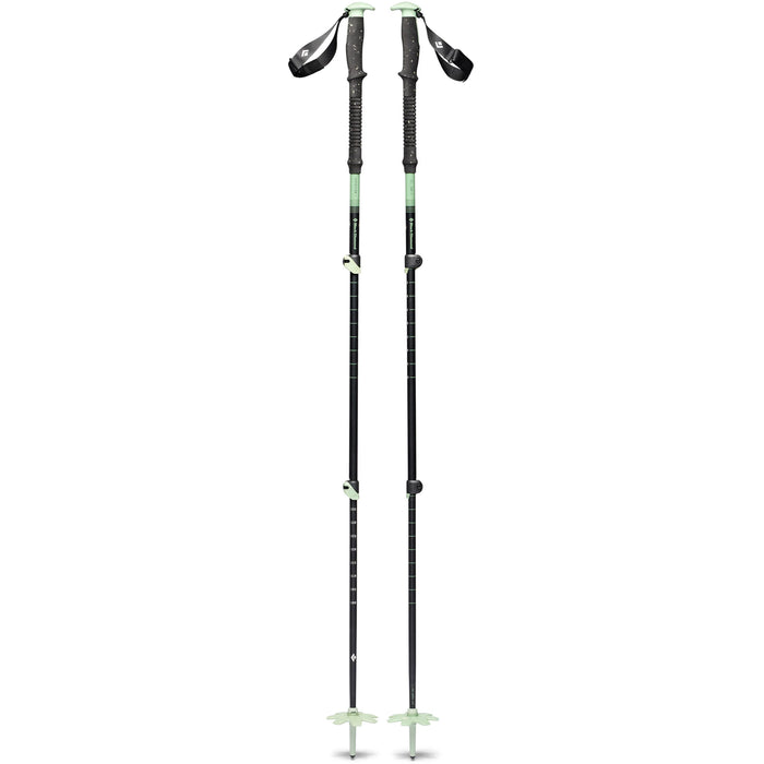 Black Diamond Expedition 3 Ski Poles 2026 Desert Sage