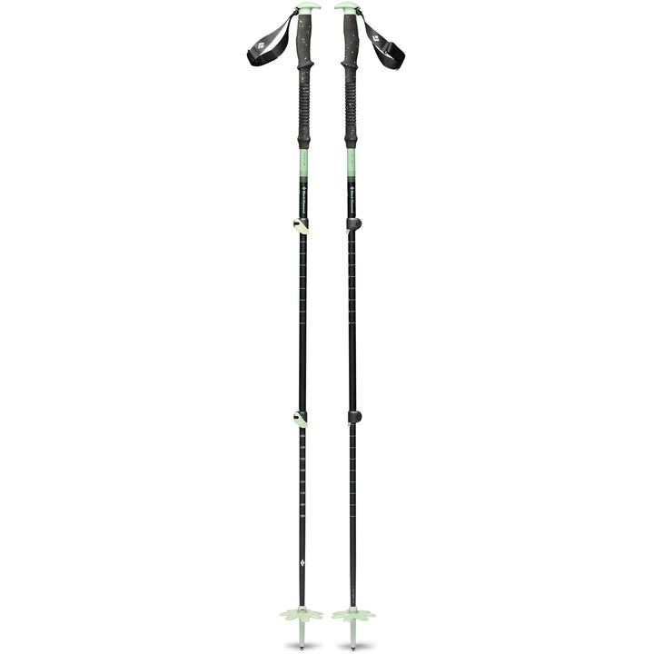 Black Diamond Expedition 3 Ski Poles 2026 Desert Sage