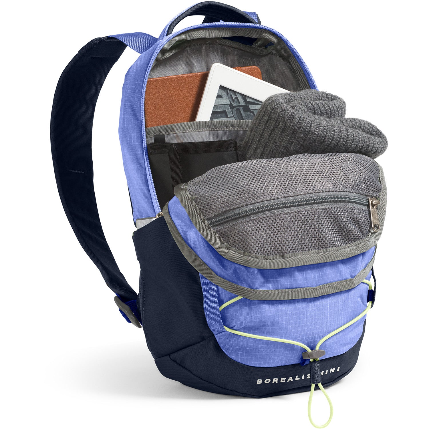 The North Face Borealis Mini Backpack – evo