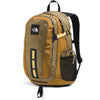 Cedar/Golden Tan/Honeyed Sand