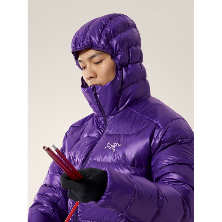 Arc'teryx Cerium SV Hoodie - Men's Azalea