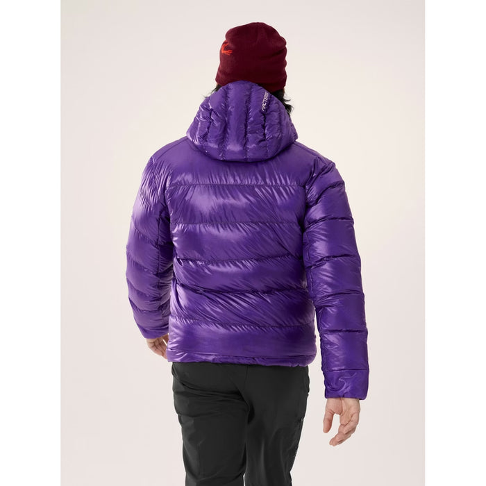 Arc'teryx Cerium SV Hoodie - Men's Azalea