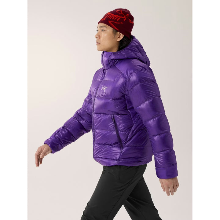 Arc'teryx Cerium SV Hoodie - Men's Azalea