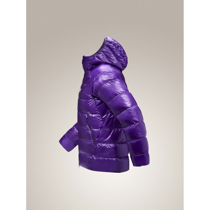 Arc'teryx Cerium SV Hoodie - Men's Azalea