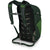 Osprey Daylite Plus Backpack Green Belt-Green Canopy