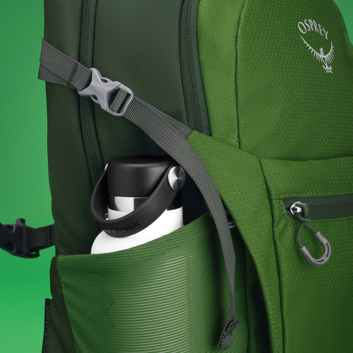 Osprey Daylite Plus Backpack Green Belt-Green Canopy