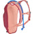CamelBak Mini M.U.L.E. 50oz Hydration Pack - Kids' Berry