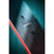 Rossignol Sender 110 Skis 2027