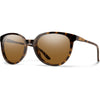 Tortoise/ChromaPop Polarized Brown