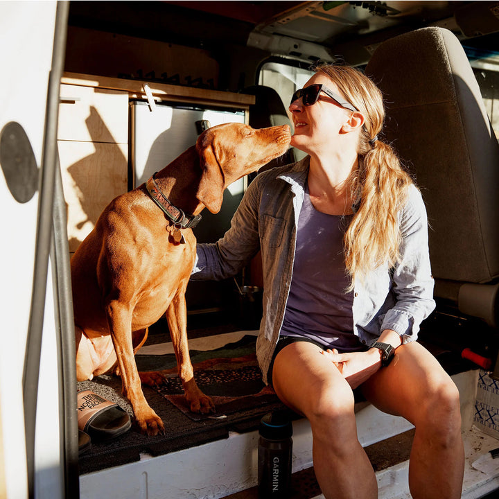 Smith Lowdown 2 CORE Sunglasses Matte Tortoise/Polarized Brown