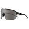 Matte Black/Polarized Grey