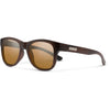 Matte Burnished Brown/Polarized Brown