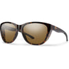 Tortoise/ChromaPop Glass Polarized Brown