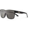 Matte Black/Polarized Gray