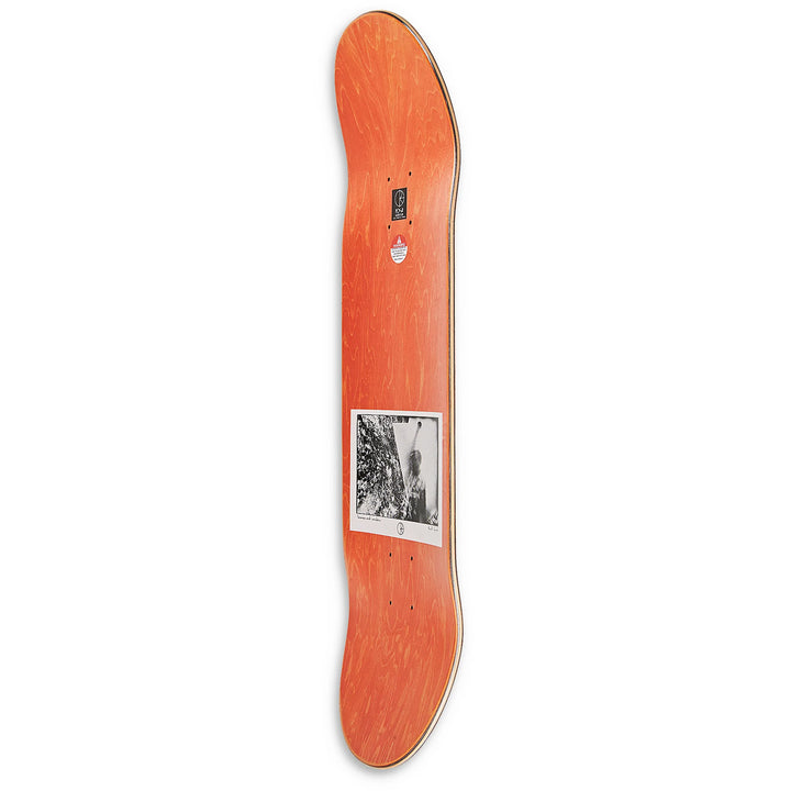 Polar Skate Co. Paul Grund Man With Window 8.0 Skateboard Deck