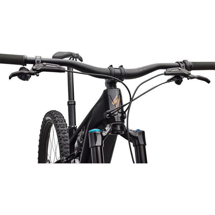 Specialized Turbo Levo R Expert E-Mountain Bike 2026 Gloss Carbon/Burnt Gold Metallic