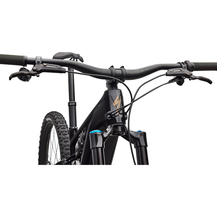 Specialized Turbo Levo R Expert E-Mountain Bike 2026 Gloss Carbon/Burnt Gold Metallic