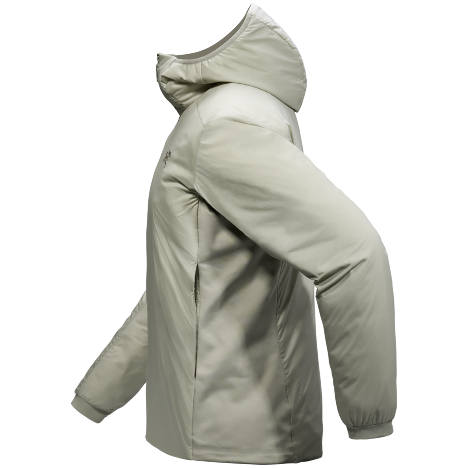 Arc'teryx Atom Hoodie - Men's – evo