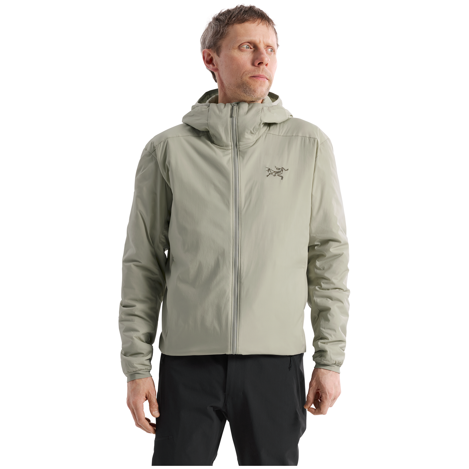 Arc'teryx Atom Hoodie - Men's – evo