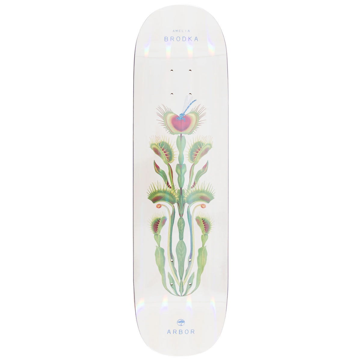Arbor Amelia Venus 8.5 Skateboard Deck