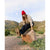 Ripton Work Pants - Women's Warm Black