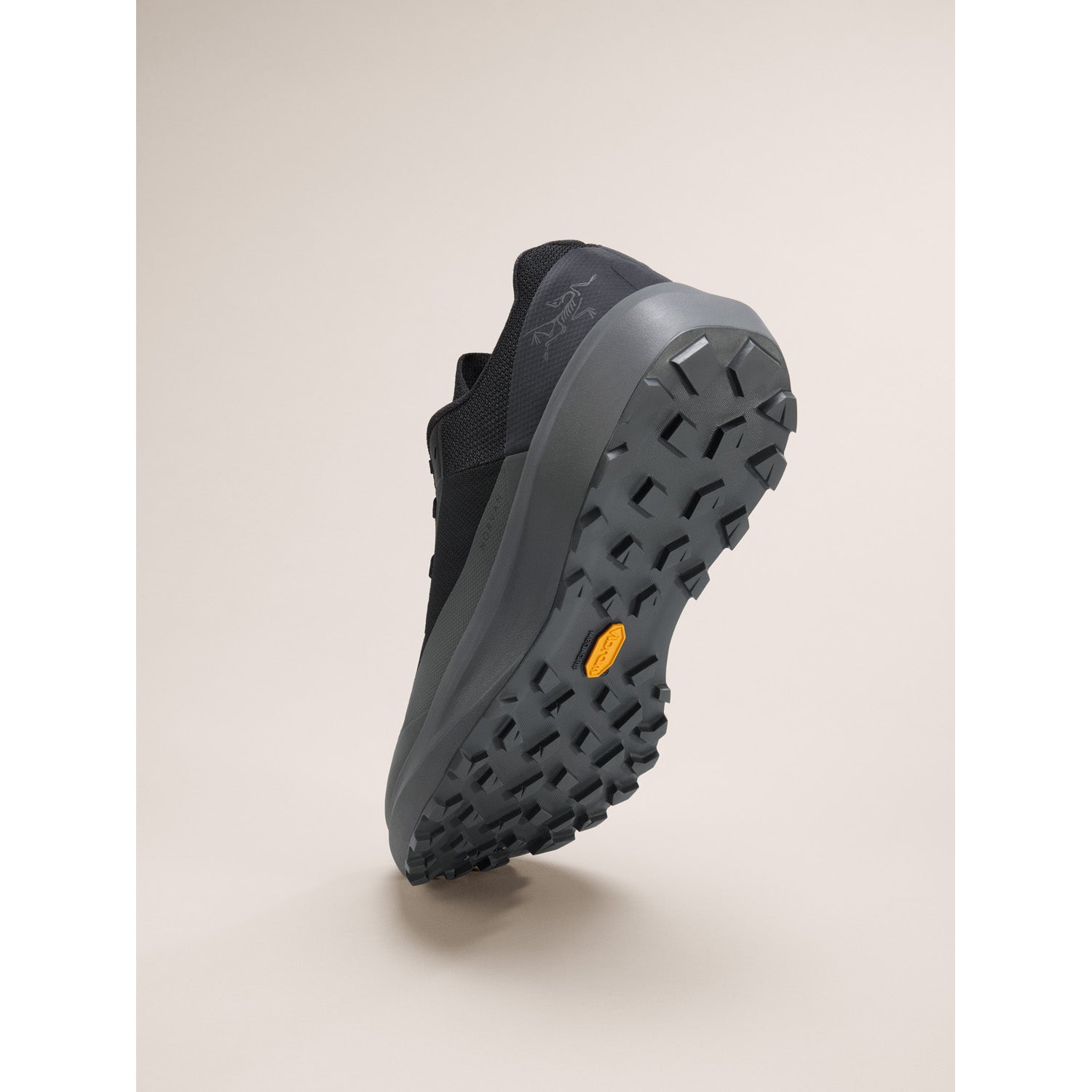 Arc'teryx Norvan LD 4 Shoes - Men's – evo