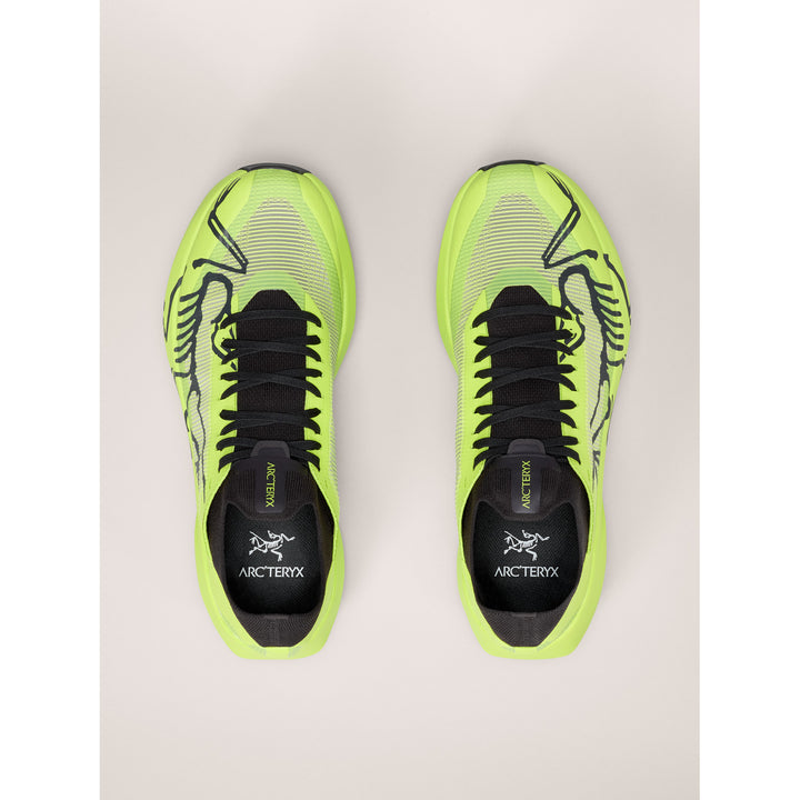 Arc'teryx Sylan 2 Shoes - Men's Mantis/Mantis
