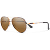 Metal Tortoise/Polarized Brown