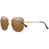 Metal Tortoise/Polarized Brown