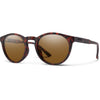 Matte Tortoise/Polarized Brown