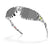 Oakley Neoforma Sunglasses White Bengal/Prizm Black
