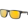 Matte Black/Prizm 24K Polarized