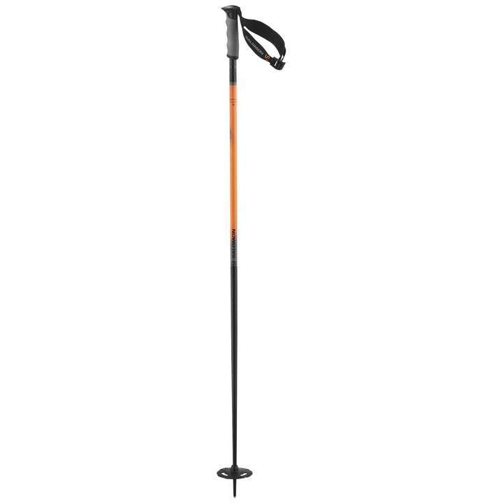 Salomon Arctic S3 XL Ski Poles 2025 Grey